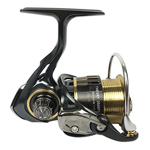 Daiwa Spinning Reel 17 Theory 2508PE-H (2500 Size)NEW | eBay