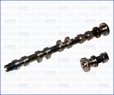 AJUSA Nockenwelle 93088000 für NISSAN PRIMERA P10 SERENA VAN C23 Traveller W10 1