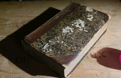 Shakespeare Dramatic Works Translated by Schlegel Part Five 1799
