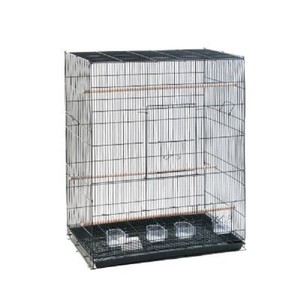 Détails Sur Finca Melodia Cage à Oiseaux 755 X 45 X 905 Cm Afficher Le Titre Dorigine