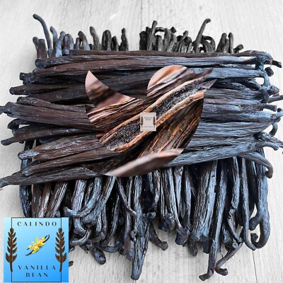 20 Pcs Madagascar Vanilla Beans Pod Grade A | 6 ++ Inch Long Beans