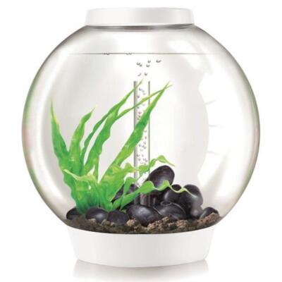 biOrb Nano-Aquarium Komplett-Set CLASSIC 60 MCR weiß