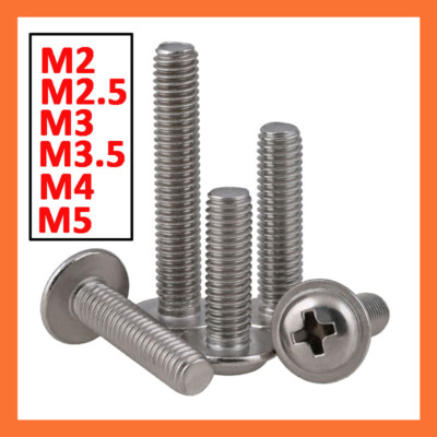 100-Piece M2 X 6mm Stainless Steel Machine Screws - Phillips Round Head, Metric Assortment