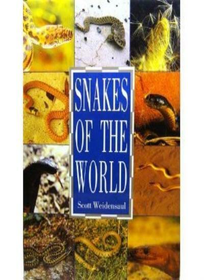 Snakes - WorldAtlas