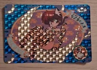 Ranma 1/2 Carddass PRISM Card No.89 Ranma Saotome Tiger Print 1991 Japan Rare!