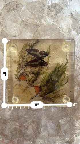 Vintage Lucite Resin Butterfly Fern Specimen Trivet Display 8in MCM Decor image 15