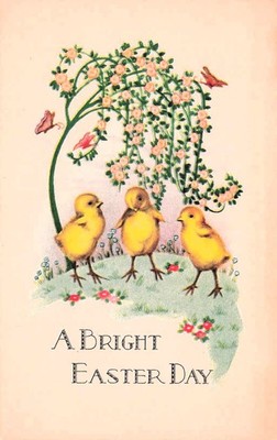 Spring Easter Day Three Chicks Blossoms Butterflies Pastel Vtg Postcard I49