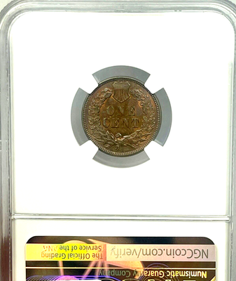 1891 Indian Head Cent NGC MS 66 BN #101 Beautiful | eBay