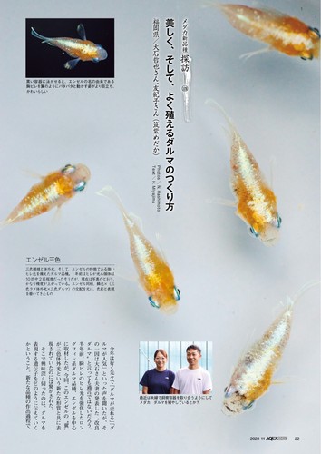 AQUA LIFE Nov 2023 Medaka Rice Fish Aquarium Marine Culture Japanese magazine - Picture 15 of 24
