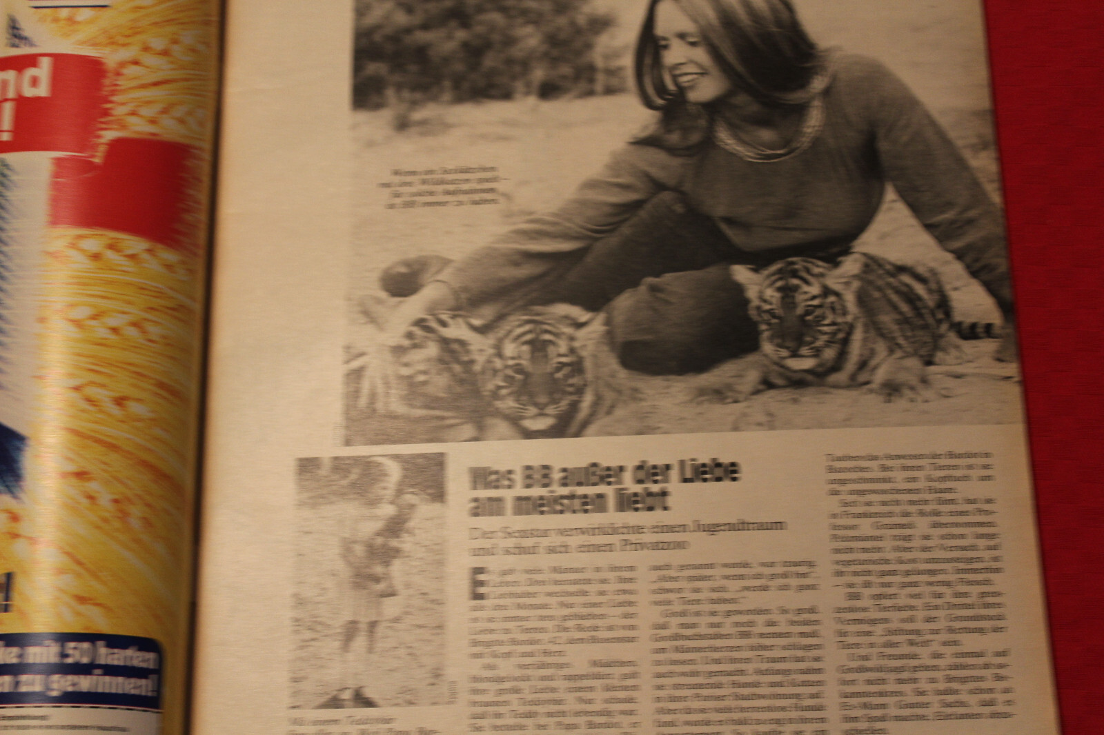 Bild 3 von 11