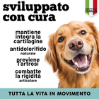 Foto 3 di 12