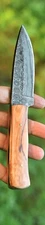 Handmade Skinner Damascus Steel Bowie Hunting Knife Wood Handle With Sheath