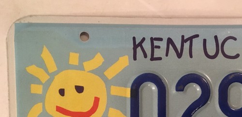 CHILD FIRST KIDS DRAWING license plate Sun Children Stop Abuse Neglect - Picture 6 of 12