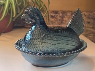 CONFEDERATE/RIVERIA BLUE INDIANA HEN ON NEST. READ DESCRIPTION!