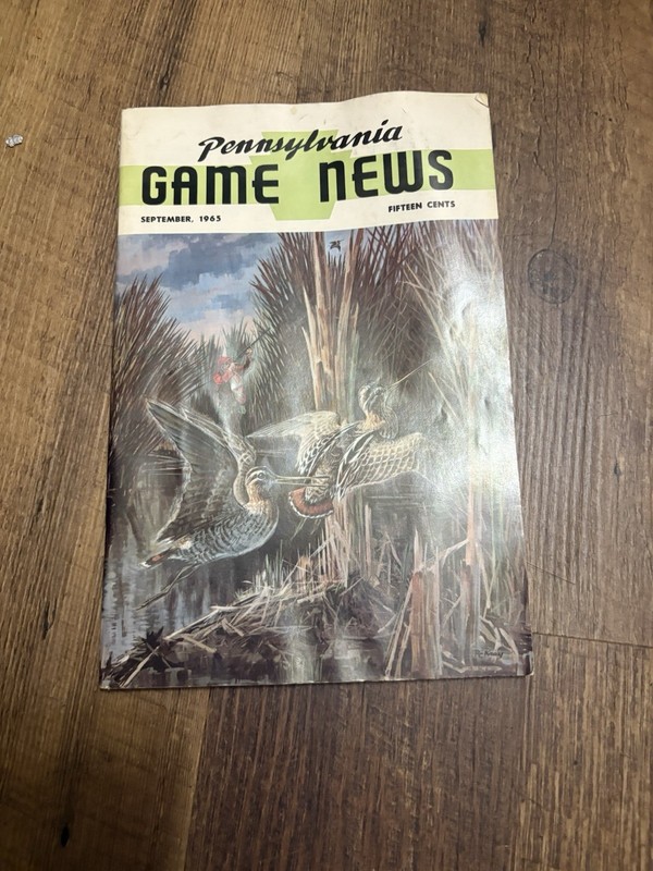 1965 Pennsylvania Game News Magazine PA 1965 September Artist Robert Kray