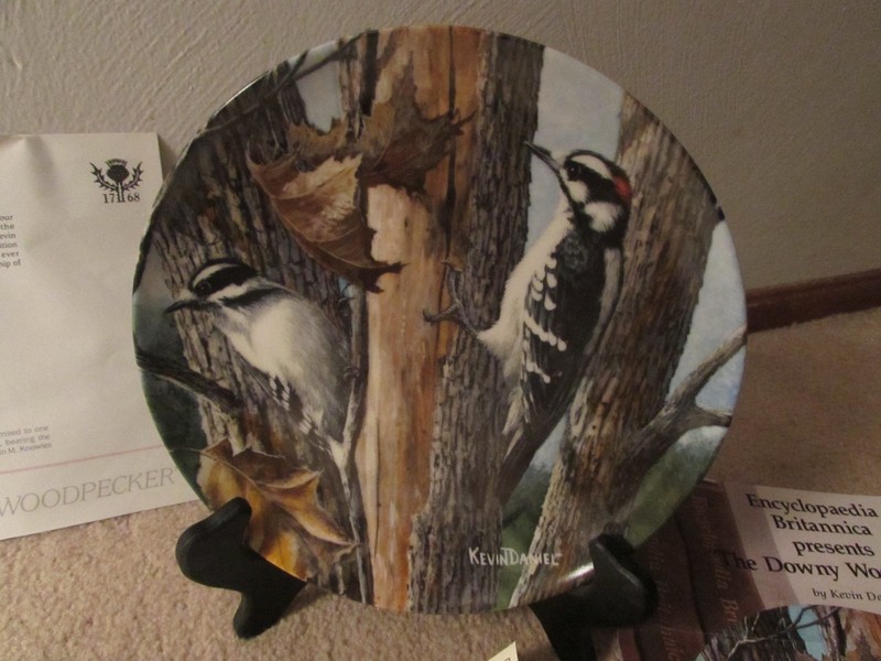 Knowles Plate  Birds of Your Garden Collection The Downy Woodpecker