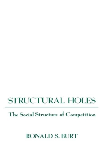 Ronald S. Burt Structural Holes (Tascabile)