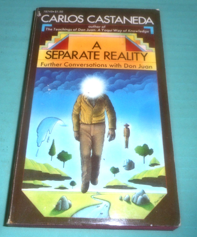 A SEPERATE REALITY - CARLOS CASTANEDA - POCKET BOOKS 1974 9TH PRINTING