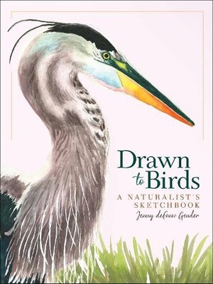 Jenny deFouw Geuder Drawn to Birds (Gebundene Ausgabe) Jenny Geuder Art