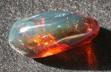 Spider with Insects in BLUE Burmese Amber Fossil Dinosaur Age 8.9 gram