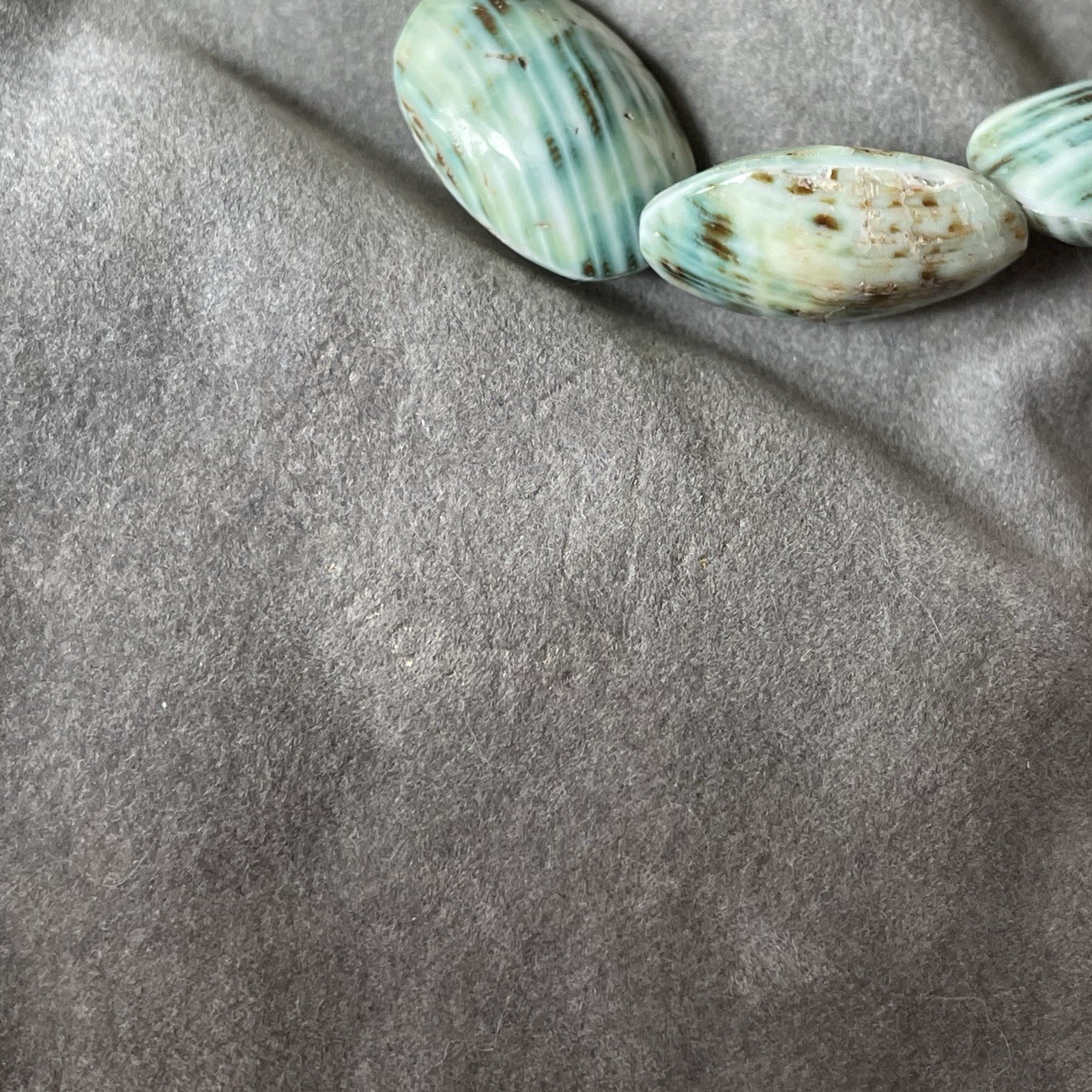 Turbo shell & silver abalone (?) shell stretch br… - image 10