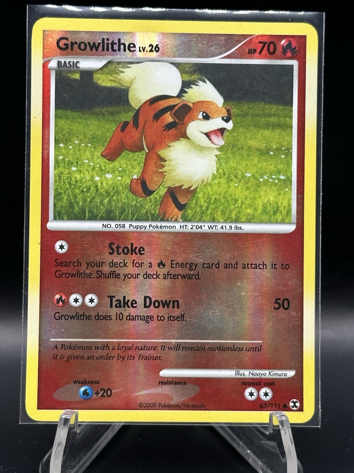 Pokemon - Growlithe 63/111 Reverse Holo [Rising Rivals] Tcg card