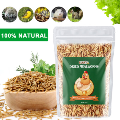 Non-GMO Dried Mealworms Fit Birds Chickens Fish Reptile Turtles 11 22 44 lbs USA