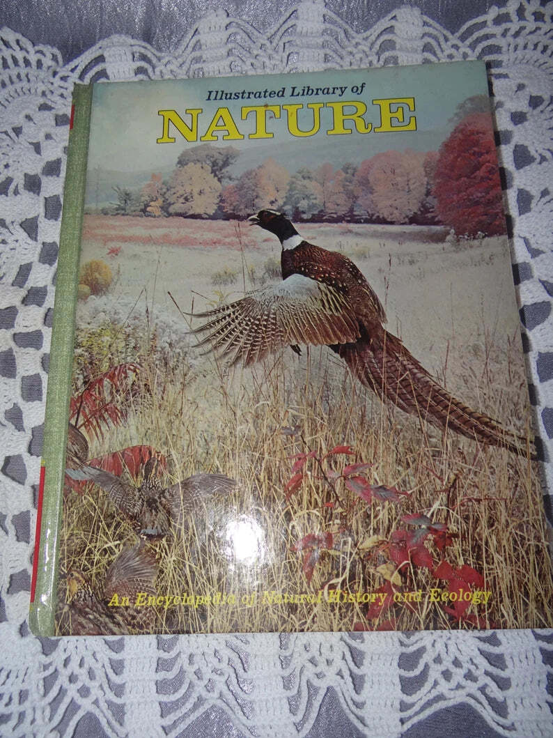The Illustrated Library of Nature Vol Six Desert Life - Dune Life Stuttman(1971)
