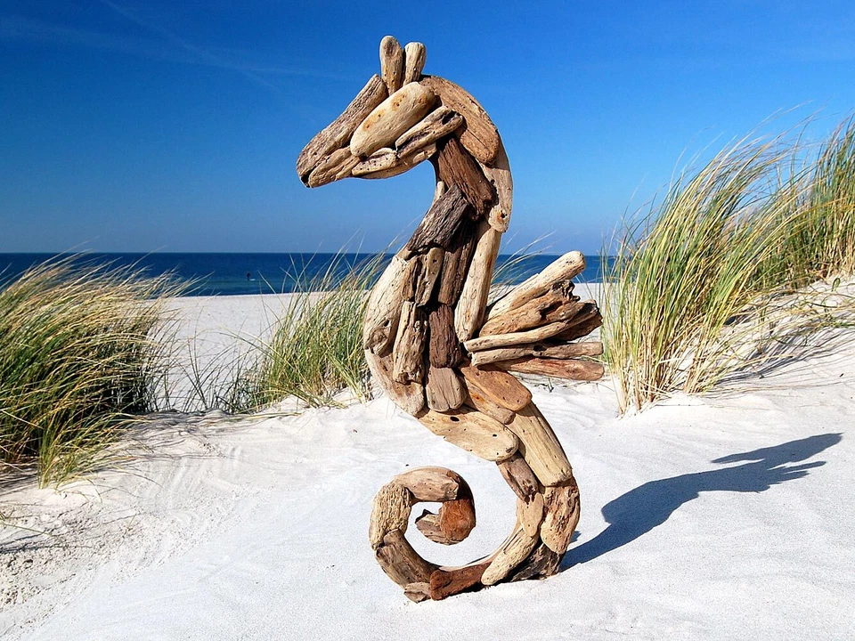 SEESTERN Treibholz Deko m. Seepferdchen (60cm) Motiv Wanddeko Driftwood Holzdeko - Bild 2 von 4