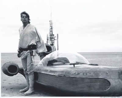Official Pix Luke Skywalker Mark Hamill B&W 8x10 Photo Star Wars