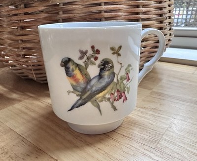 Bavaria Schumann Arzberg Germany Coffee Cup Songbirds Porcelain 8oz New