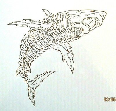 Shark Skeleton Stencil / Template Reusable 10 mil Mylar | eBay
