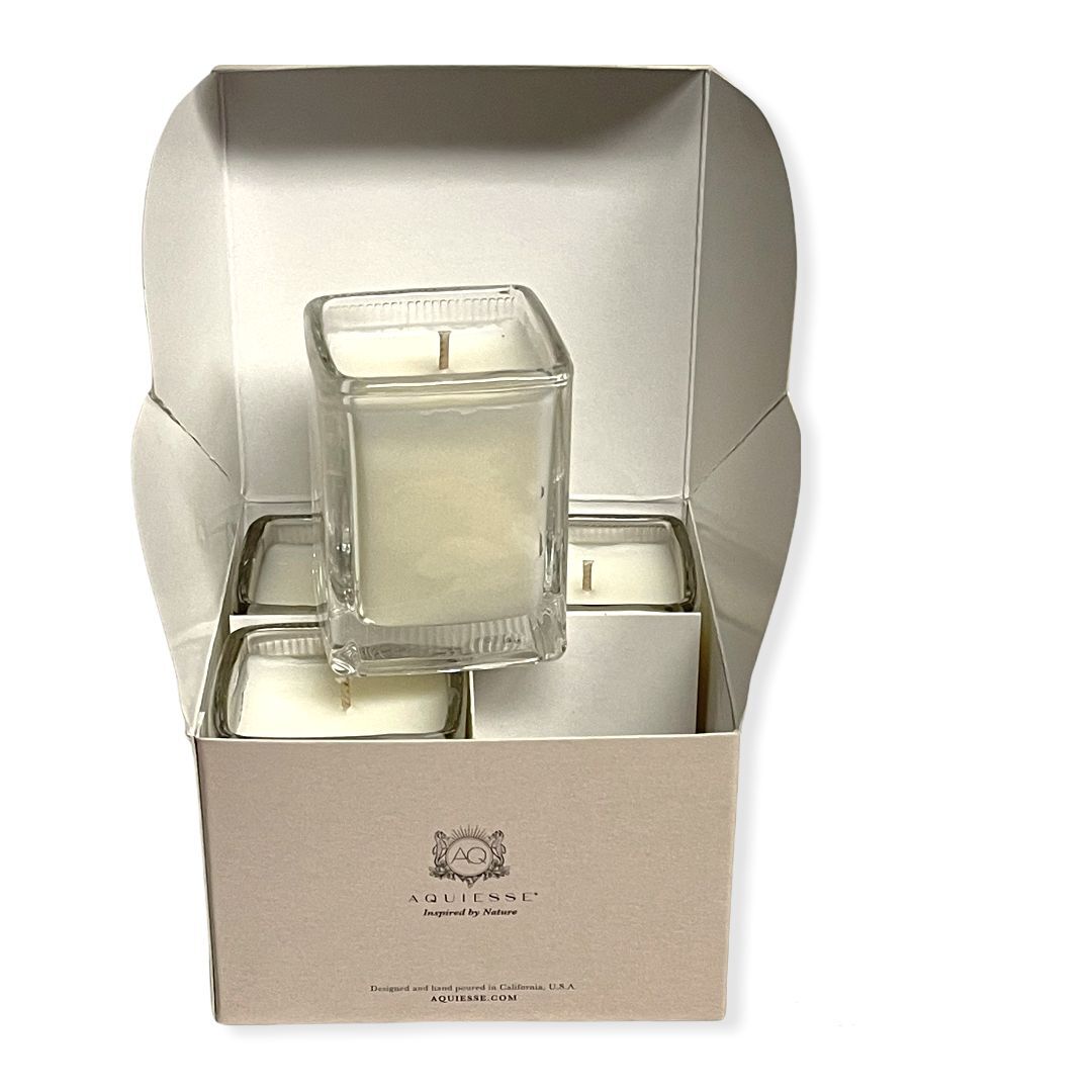 Aquiesse Luxury Scented Candle Santa Barbara Inspired by Nature Set of
