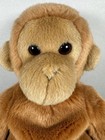 Ty Beanie Buddy Bongo The Monkey 14” Beanbag Plush 1998 No Tag — photo 3