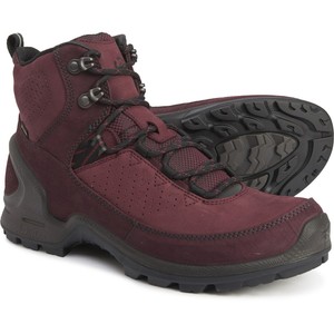 ecco terrain biom