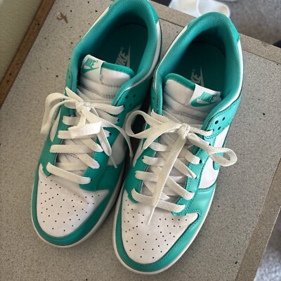 Nike Dunks Teal