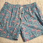 Chubbies Men’s Swim Shorts Size M Blue/Pink Flamingo Floral Drawstring Lined — photo 1