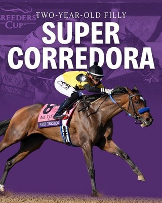 Horse racing photo, stallions,thoroughbreds ascot, breeders cup,farms, cup