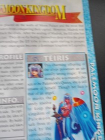 Dragon Force Manual - Missing Back Cover (Sega Saturn, 1996)
