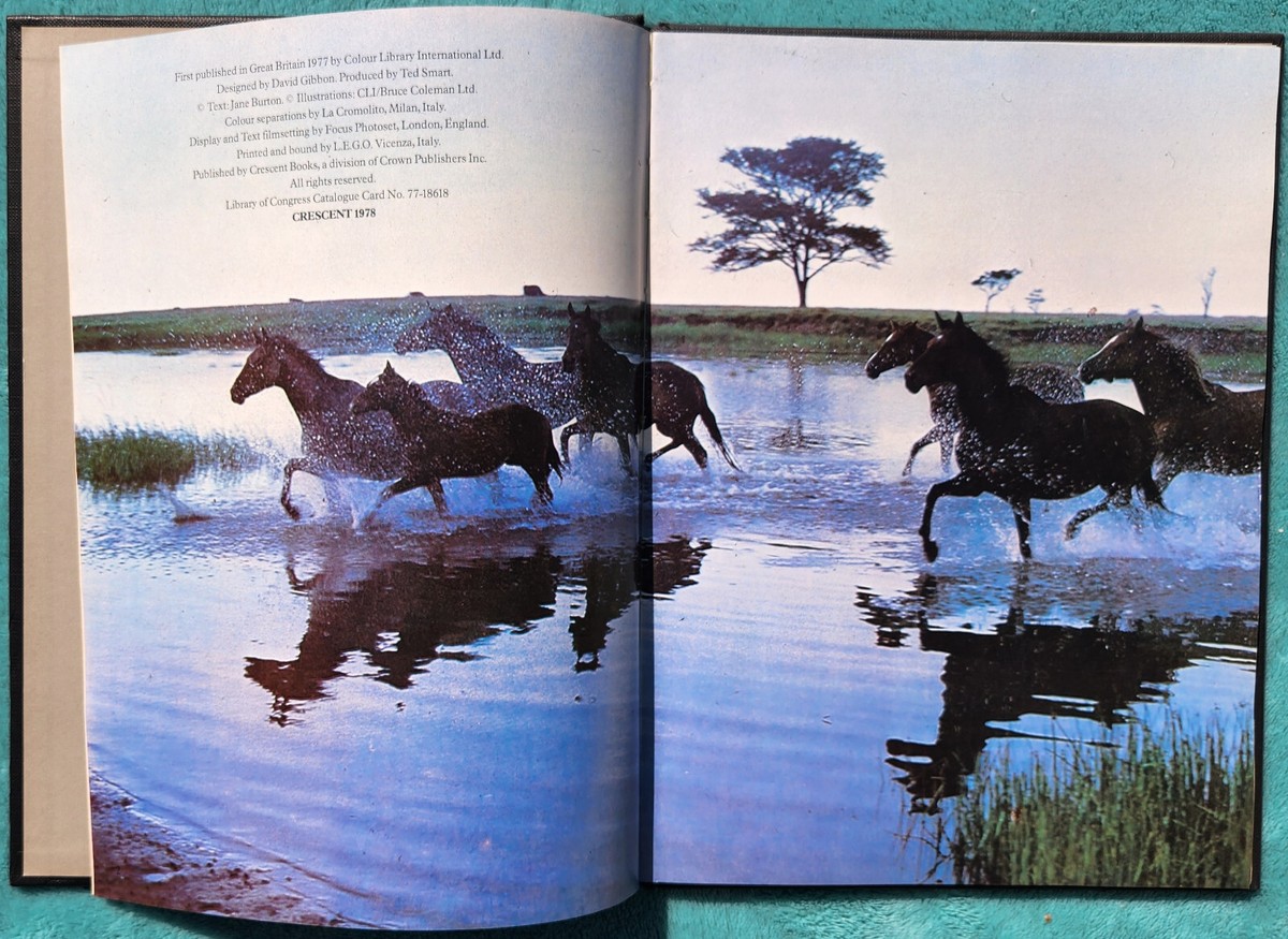 Horses By Jane Burton 1978 Hardcover 64 Pages - The Color Nature