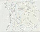 The Twelve Kingdoms Juuni Kokki Genga Douga Original Sketches Pierrot - Youko — photo 9