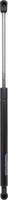 Diederichs 9224701 Gasfeder, Koffer-/Laderaum