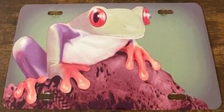 Green Frog Novelty License Plate Tree Frog Froggy Frogger Red Eyes Amphibian