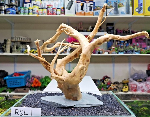 RED MOOR on SLATE wood bogwood driftwood aquariums vivariums REDMOOR - 第 4/33 張圖片