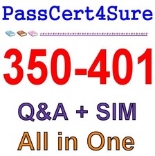 350-401 Implementing and Operating Cisco Enterprise Network Exam Q A SIM