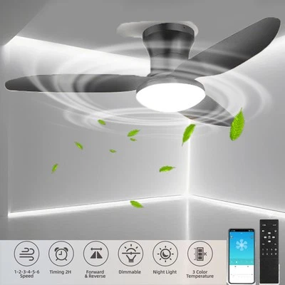 COSHALL Ø100CM Deckenventilator Mit Beleuchtung & Fernbedienung Leise Dimmbar 3 Flügeln