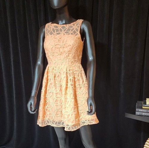 BB DAKOTA Fit and Flare Kleid Pfirsich Spitze Größe 2 - Bild 5 von 11