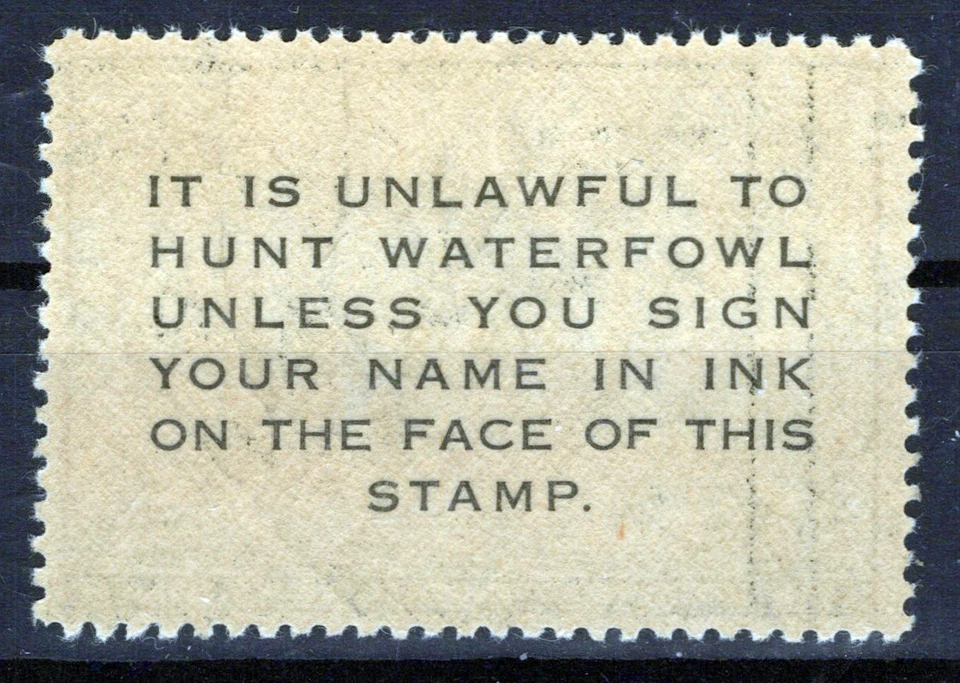 US RW18 MLH VF $2 gray black Gadwall Duck Revenue Zayix Stamps 0225MAR0036 - Image 2 of 2