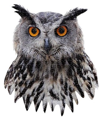 I AM Owl 300-Piece Shaped Bird Puzzle 17''x24''