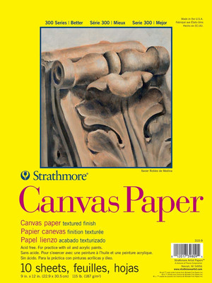 9x12 White Textured Art Paper 10 Sheets Heavyweight Canvas Surface for Oils A...
